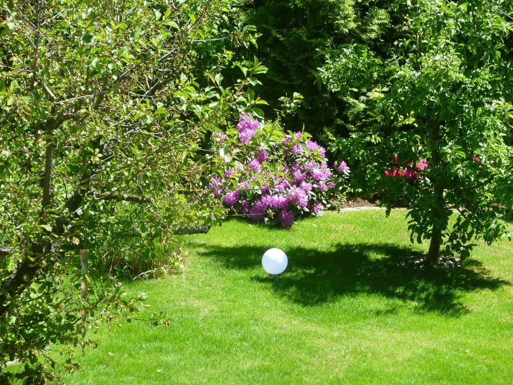 Ferienwohnung Baude Bad Harzburg Δωμάτιο φωτογραφία